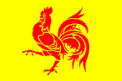 Flag of Wallonia / Le drapeau de la Wallonie / Vlag van Wallonië