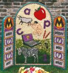 Bowden Lane Well Dressing