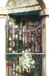 Spring Well