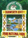 Canal Basin Well Dressing