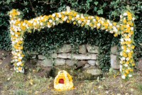 Trough Well