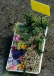Additional Small Well Dressing