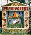 Old Dam Well Dressing