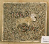 Sunnyhill Infant & Nursery School Years 1 & 2 Well Dressing (1)