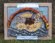 Additional Well Dressing at Canal Basin (Good News)