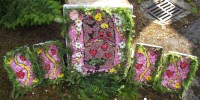 Stanley St Andrew&rsquo;s School Well Dressings