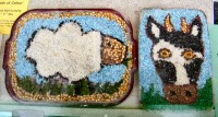 Playgroup Additional Well Dressings