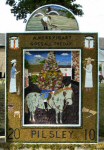 Main Well Dressing