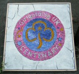 Ilkeston Guides Well Dressing