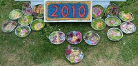 Additional Small Well Dressings