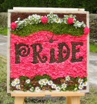 Additional Well Dressing (1)