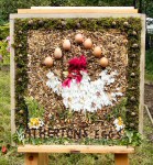 Additional Well Dressing (7)