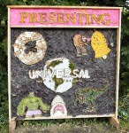 Intermediate Well Dressing