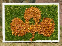 Additional Well Dressing