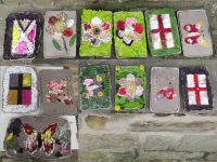 Revolution House Well Dressings