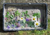 Baby & Toddler Group Well Dressing