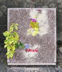 Additional Well Dressing