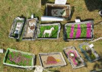 Additional Well Dressings