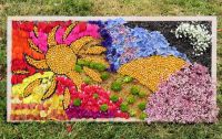 Local Biddulph Families Well Dressing