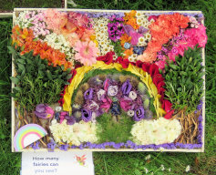 Well Dressing (3)