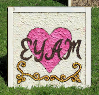 Sheep Roast Well Dressing (10)