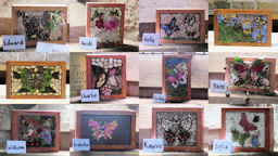 Miniature Well Dressings
