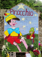 Fountain Well Dressing