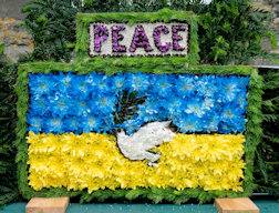 Additional Well Dressing