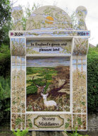 Main Well Dressing
