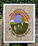 Children&rsquo;s Well Dressing