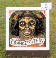 Chloe Guest&rsquo;s Well Dressing