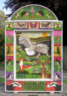 Main Well Dressing