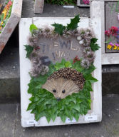 Additional Well Dressing