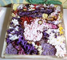 Rainbow Kindergarten Well Dressing