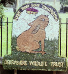 Derbyshire Wildlife Trust Well Dressing
