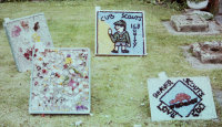 Additional Well Dressings (6 - 9)