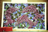 Pre-School Playgroup Well Dressing