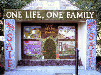 Main Well Dressing