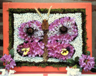 Moorland Nursery School Well Dressing