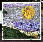 Millhouse School Well Dressing