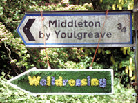 Fingerboard, north of village